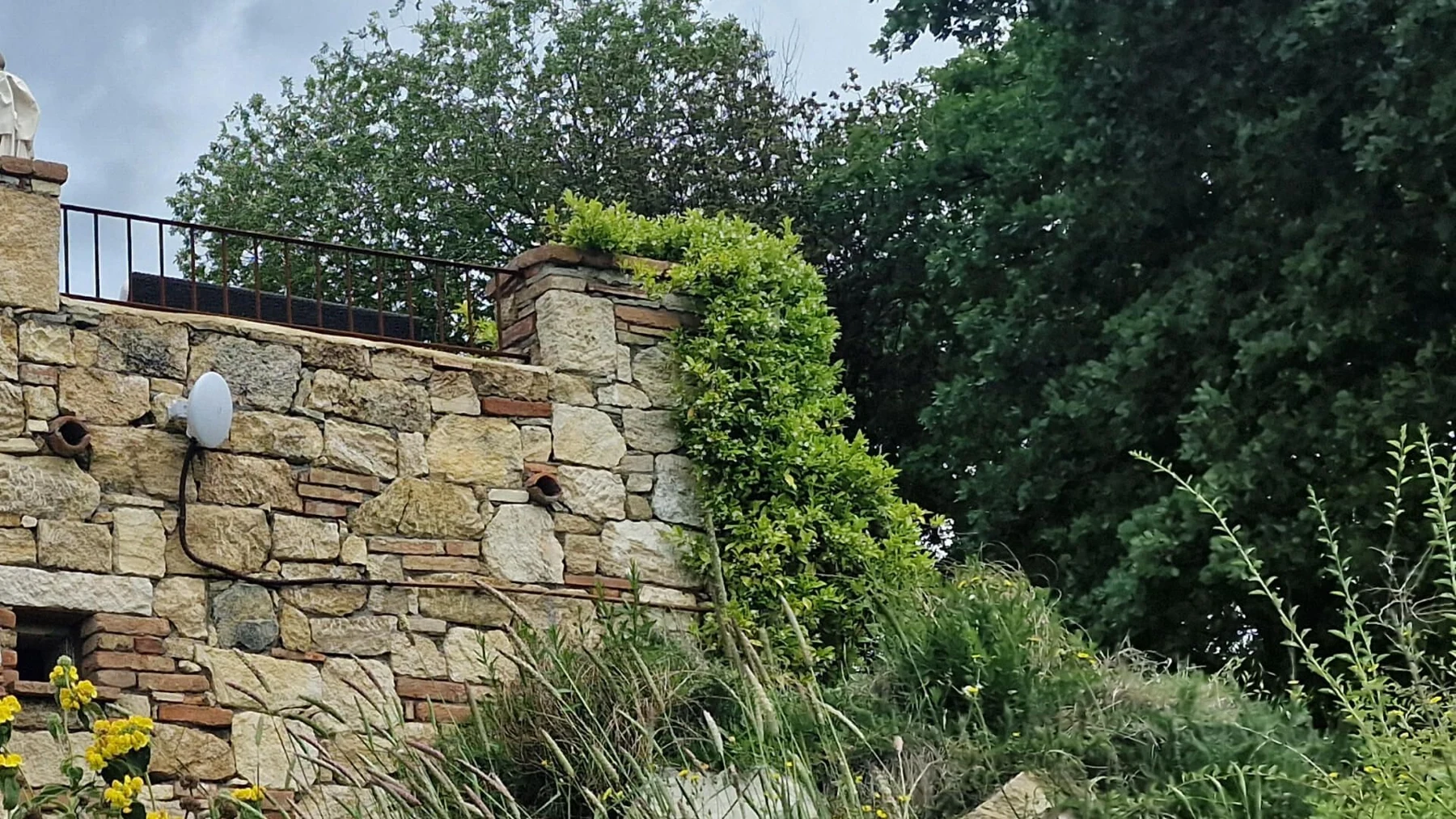 Wireless equipment installed within a landscaped hospitality property
